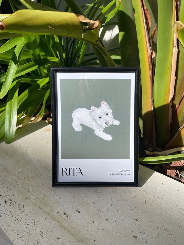 Cuadro personalizado de tu mascota