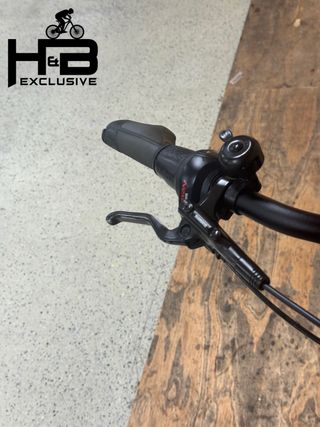 Giant DailyTour E+ 1 BD GTS Shimano Nexus 2022