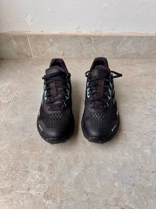 Adidas Terrex 300 GTX