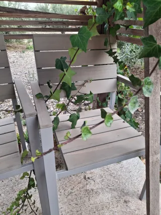 Mesa de exterior y sillas para restaurar