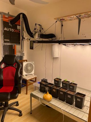 Kit Cultivo Interior Completo