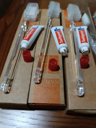 Set 10 Spazzolini da Viaggio con Dentifricio.