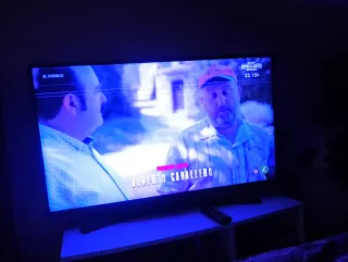 Televisor LG 43 con defectos en pantalla