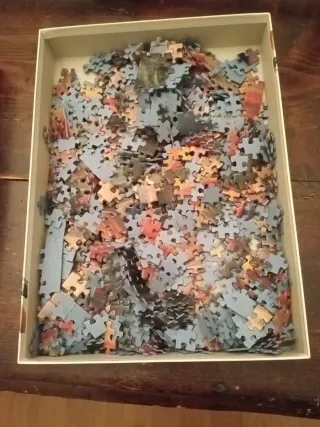 Puzzle Ravensburger L'Urlo 1000 pezzi