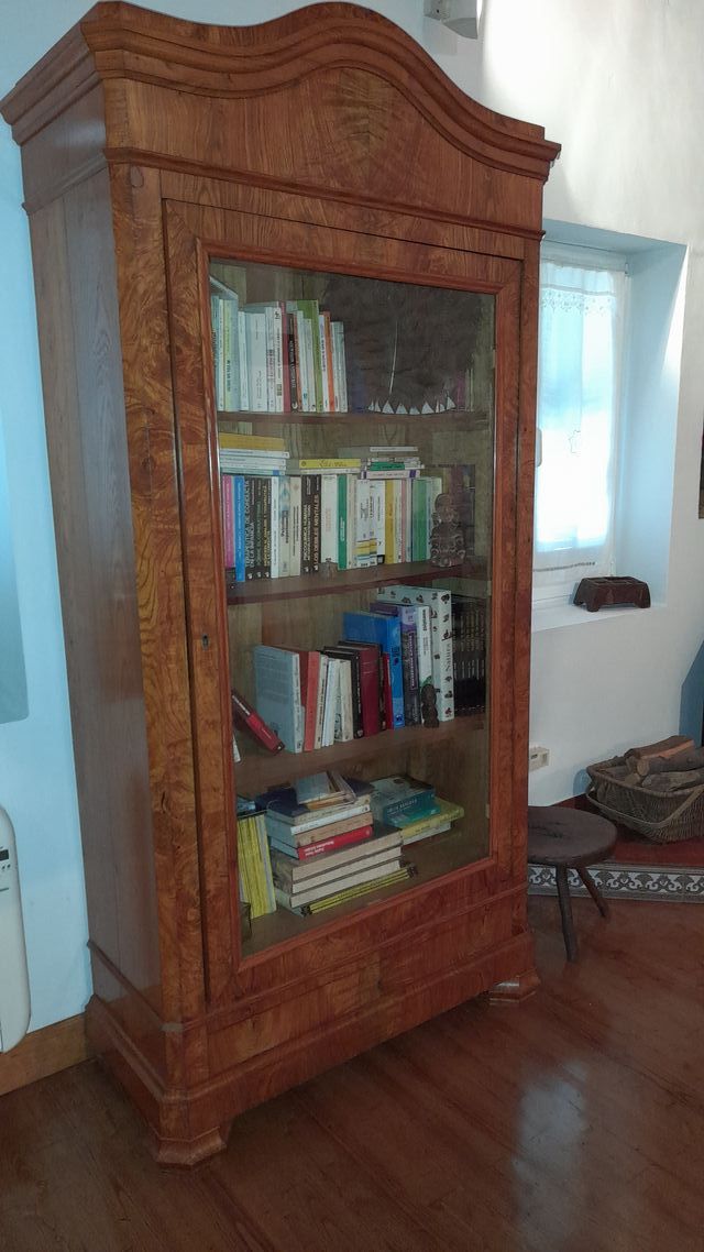 Vitrina antigua de madera y cristal