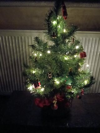 Albero di Natale decorato illuminato