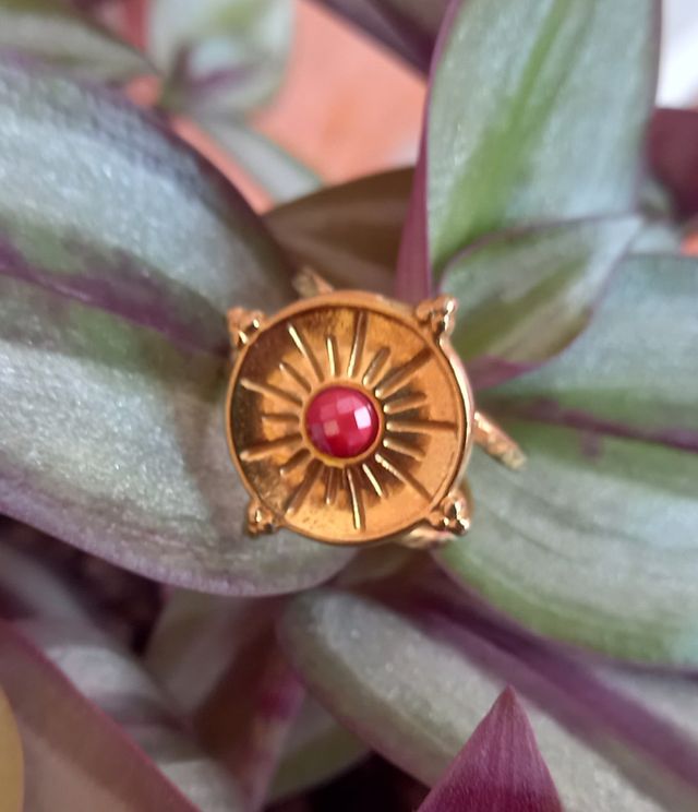 Anillo Estrella de los Vientos Ajustable