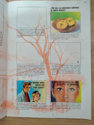 Álbum cromos El Porqué de las Cosas nº3 Bimbo