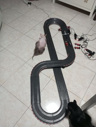 Scalextric Carrera GO