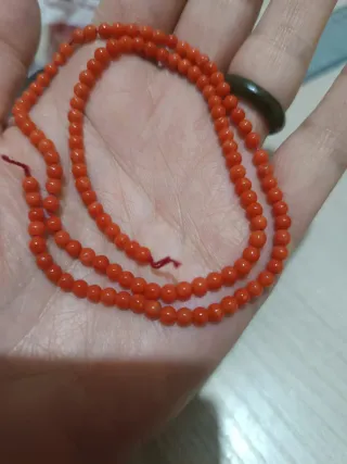 Filo Corallo Rosso Sardegna