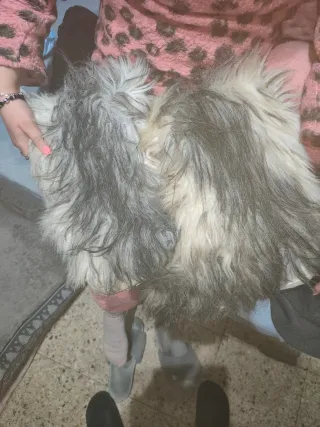 Botas de pelo grises y blancas y marrones 