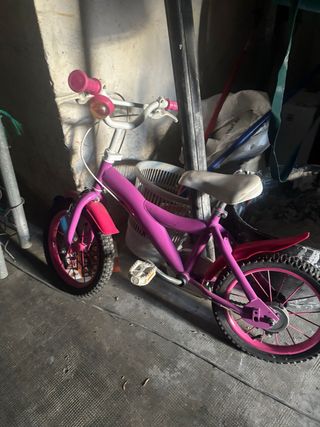 Bicicleta infantil morada