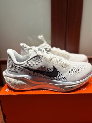 Nike Pegasus Nuevas
