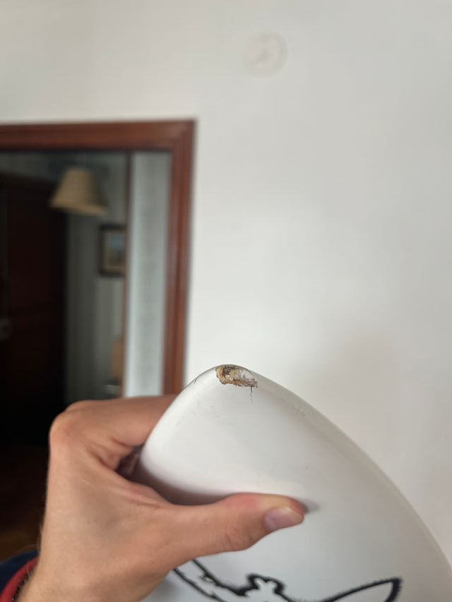 Tabla de Surf Webber Afterburner 6'6