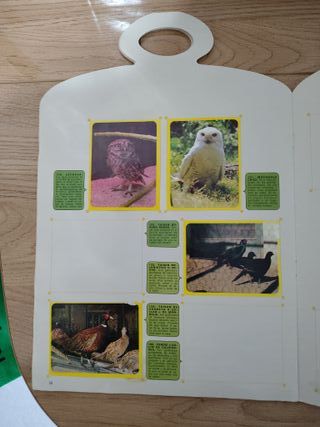 Álbum Zoo Loco 1973