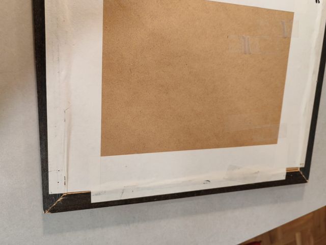 Antica lastra botanica di Georg Dionysiues Ehret