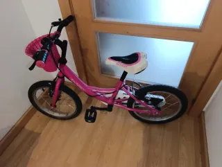 Bicicleta infantil 16 pulgadas + ruedines
