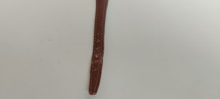 Orologio Altanus Geneve Vintage Quarzo Marrone Oro