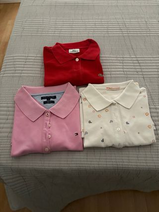 Lote 3 polos: Lacoste, Tommy, Purificación García