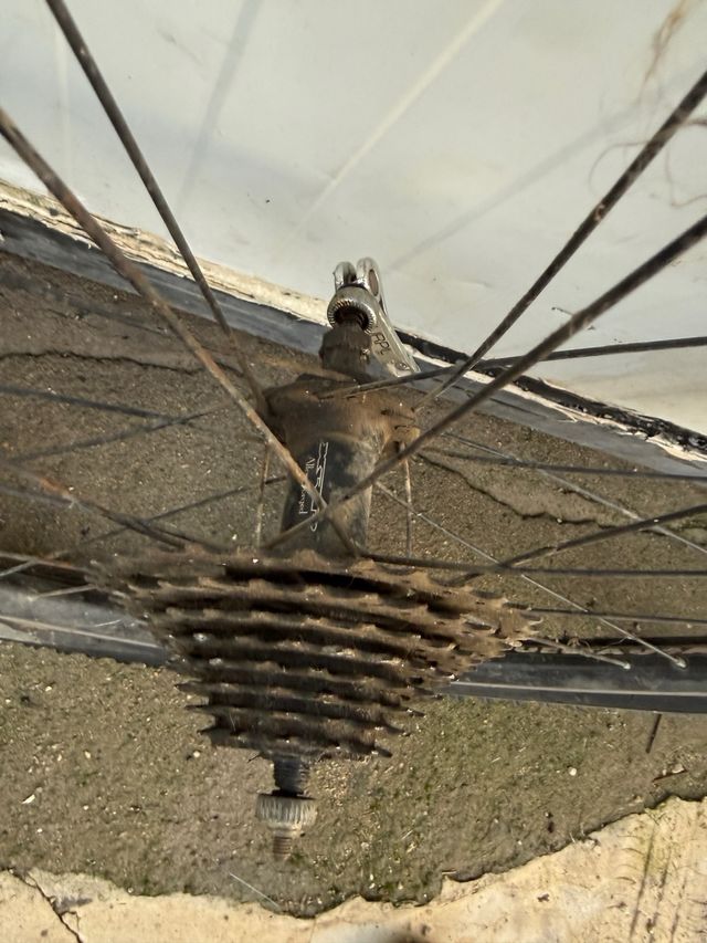 Pneumatici per mountain bike da 26