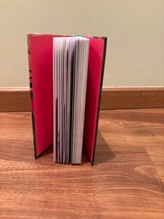 Maya Erikson 4. Maya Erikson y la máscara del s...