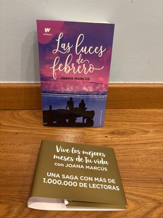 Las luces de febrero (Meses a tu lado 4)