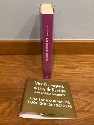 Las luces de febrero (Meses a tu lado 4)