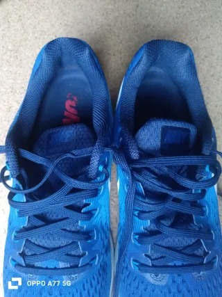 Nike Pegasus 34 Game Royal 