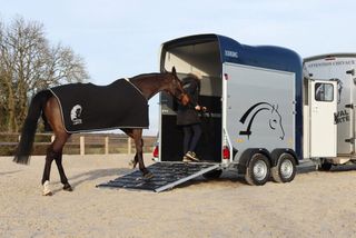 Remolque Van 2 CABALLOS GOLD ORIGINS ALUMINIUM*