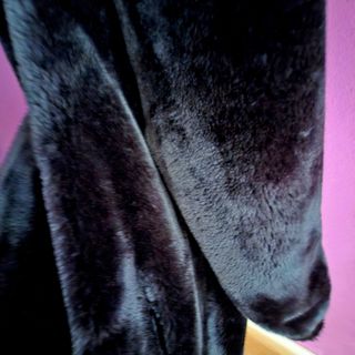 Abrigo largo negro de  pelito, muy amoroso.