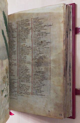 DIOSCÓRIDES LATINO - LIBRO FACSIMIL - JOYA