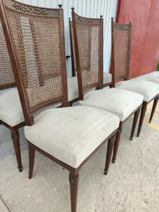 Vitrina Exótica Pushkar Madera y Cristal