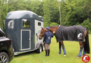 Remolque Van 2 CABALLOS ORIGINS GOLD 3