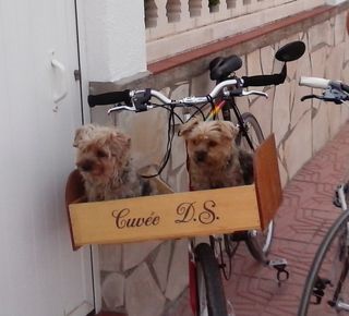 Bicicleta de carga KOTTER California