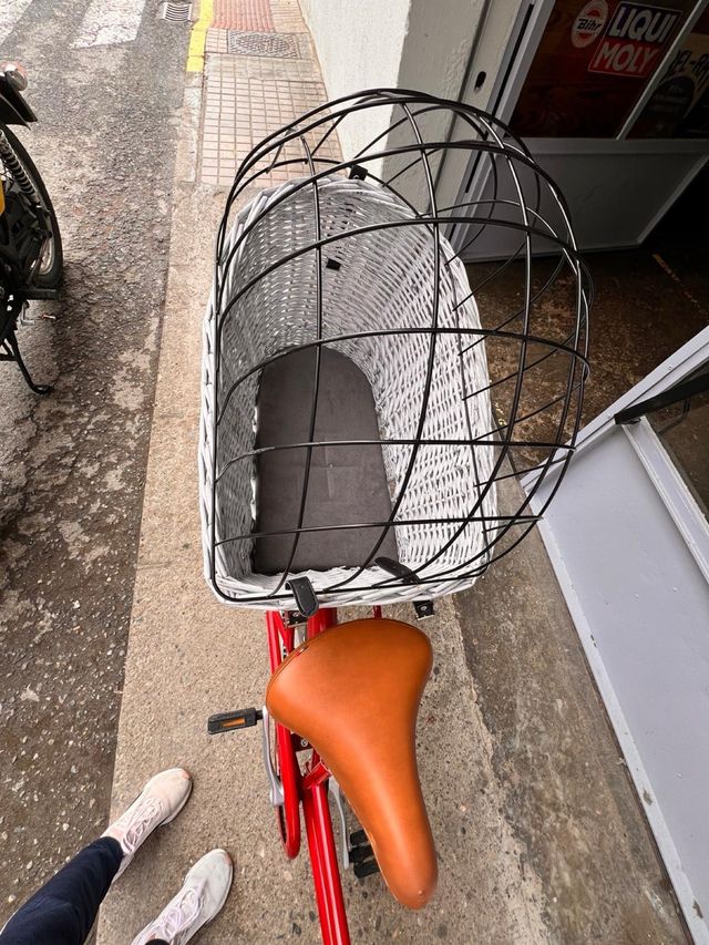 Cesta para perro bicicleta