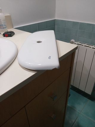 Tapa Cisterna WC Roca Atlanta 83280