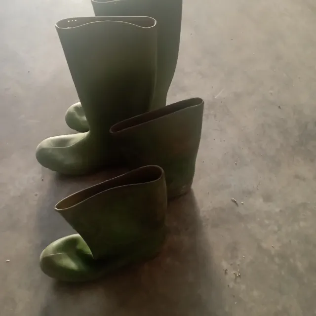 Botas de agua verde oliva , alta y bajas