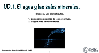 Clases biología Selectividad