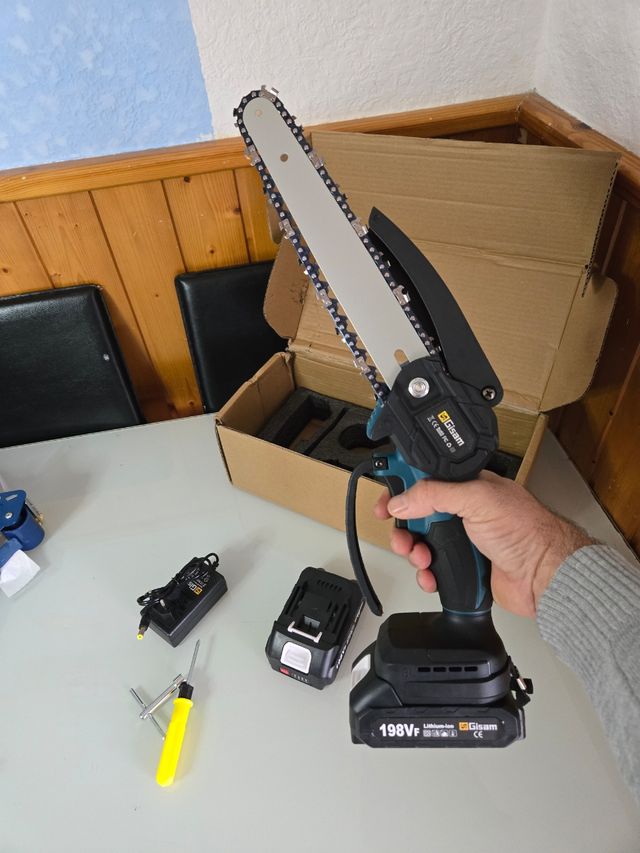 Motosega Senza Fili 8 Pollici +2 Batterie