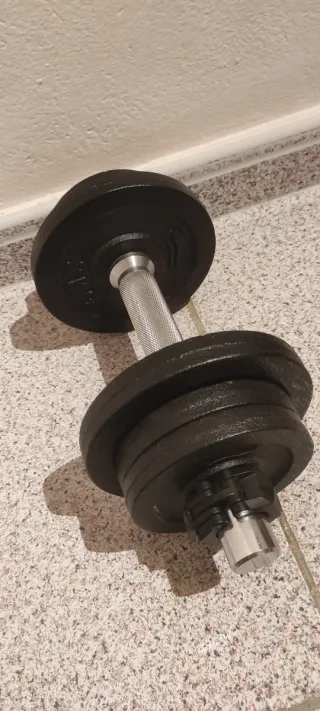 Pesas de 10kg (Juego de 2)