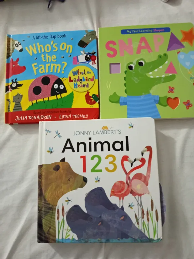 Lote de libros de pestañas en inglés para niños 