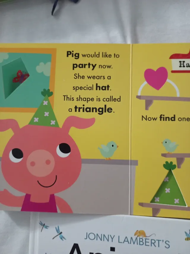 Lote de libros de pestañas en inglés para niños 