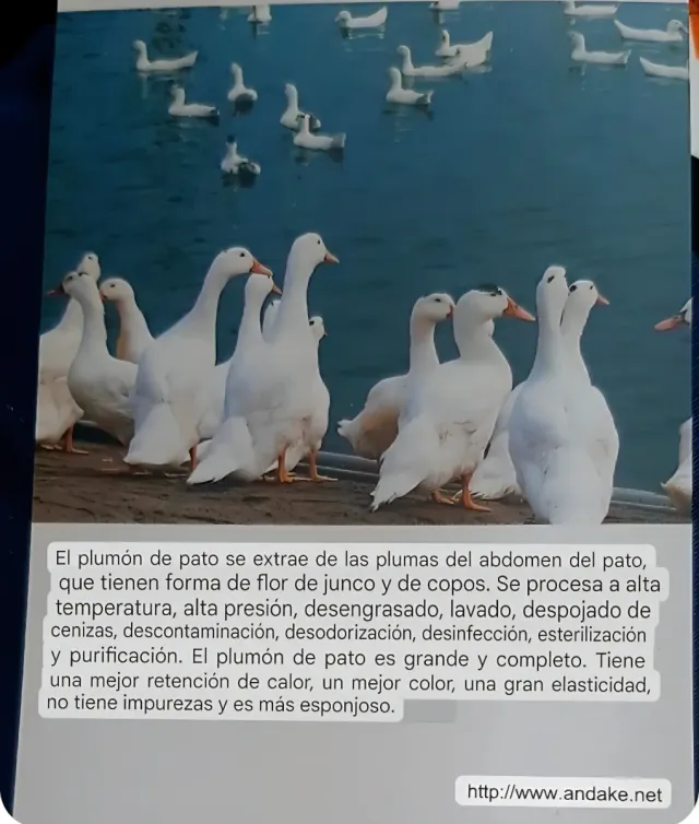 Manoplas ANDAKE plumón OCA Talla 8