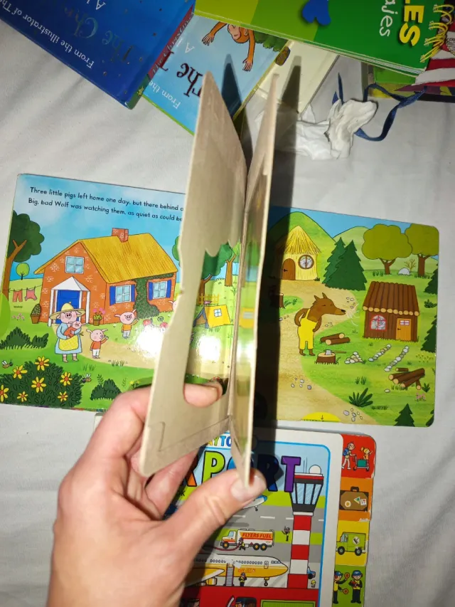 Lote de libros infantiles de pestañas en inglés