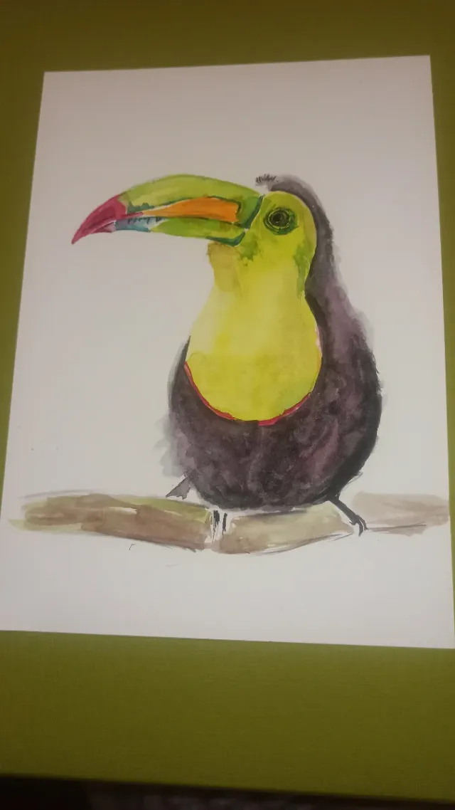 Acuarela original Tucán
