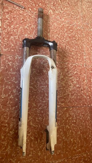 Suspensión Bicicleta 29” cambio por pegs 