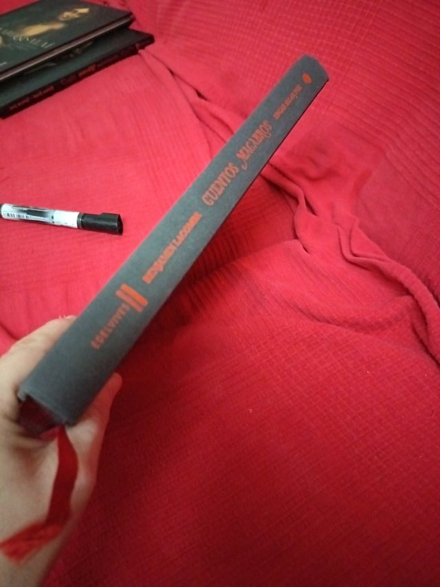 Cuentos macabros (Spanish Edition)