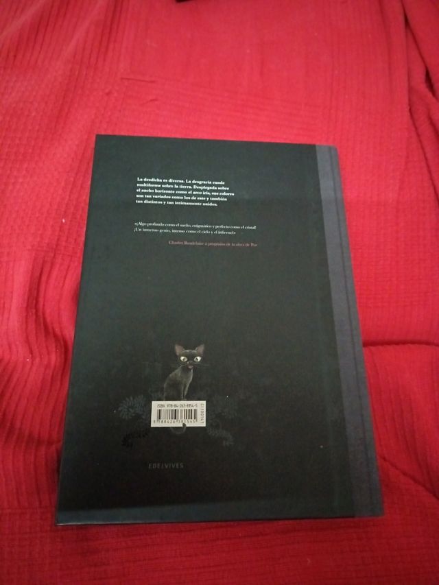 Cuentos macabros (Spanish Edition)