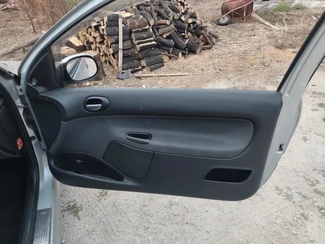 Paneles Puerta Peugeot 206 delantero y traseros