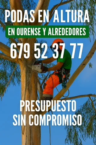 Podas en Altura Ourense Presupuesto Sin Compromiso